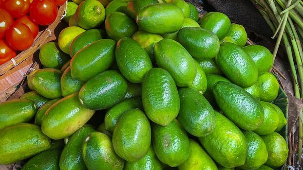 Assam Lemon (Nemu Tenga)